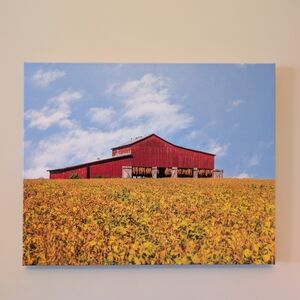 Red Barn Canvas Wall Art